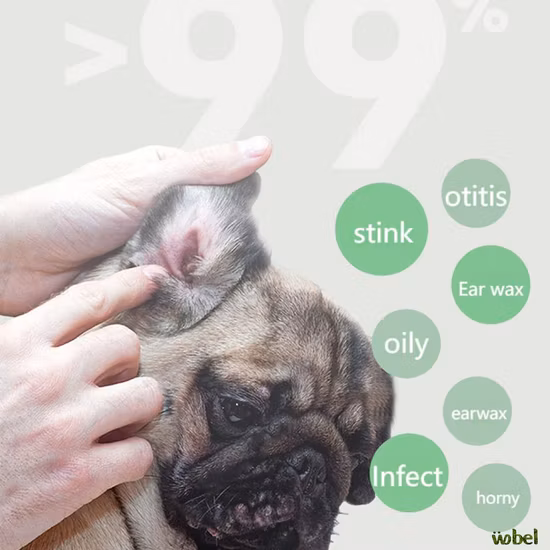 Caixa impermeável nivelada